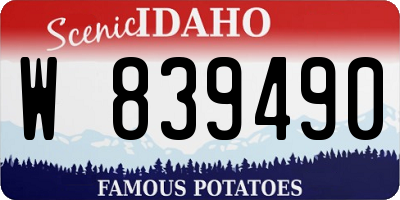 ID license plate W839490