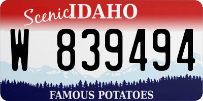 ID license plate W839494