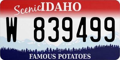 ID license plate W839499