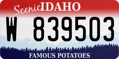 ID license plate W839503
