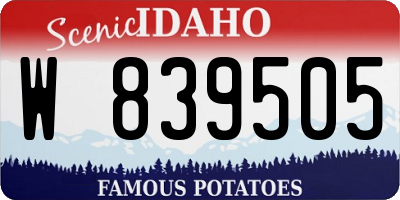 ID license plate W839505