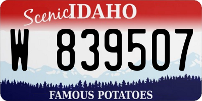 ID license plate W839507