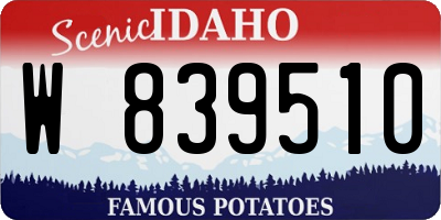 ID license plate W839510