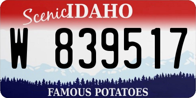 ID license plate W839517