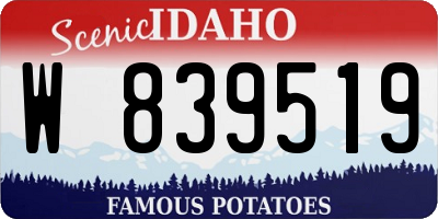 ID license plate W839519