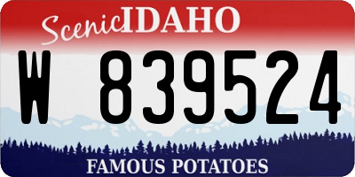 ID license plate W839524