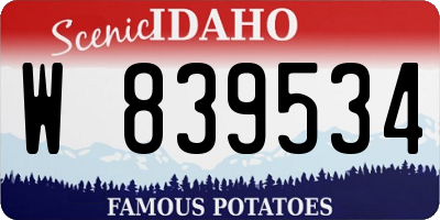 ID license plate W839534