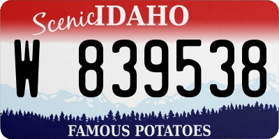 ID license plate W839538