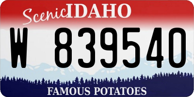 ID license plate W839540