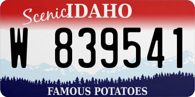 ID license plate W839541