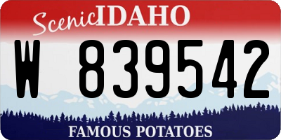 ID license plate W839542