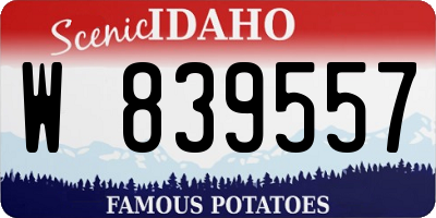 ID license plate W839557