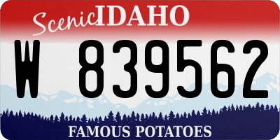 ID license plate W839562