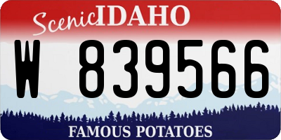 ID license plate W839566