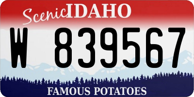 ID license plate W839567