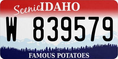 ID license plate W839579