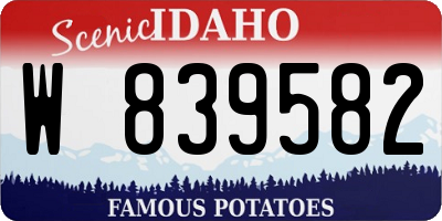 ID license plate W839582