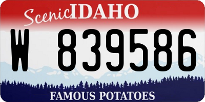 ID license plate W839586
