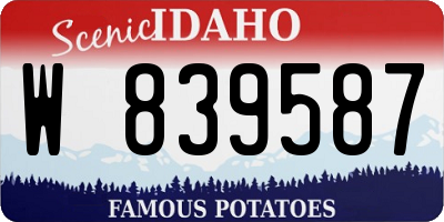 ID license plate W839587