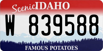 ID license plate W839588