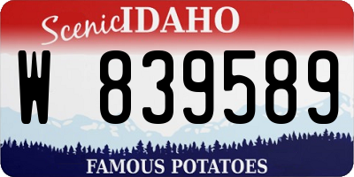 ID license plate W839589