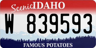 ID license plate W839593