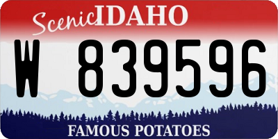 ID license plate W839596