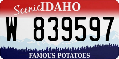 ID license plate W839597