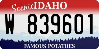 ID license plate W839601