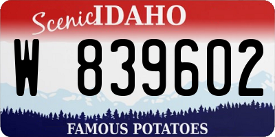 ID license plate W839602