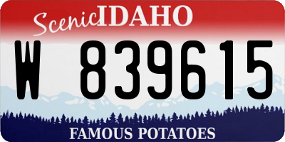 ID license plate W839615
