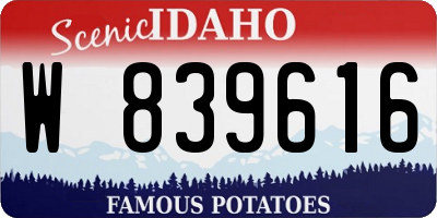 ID license plate W839616