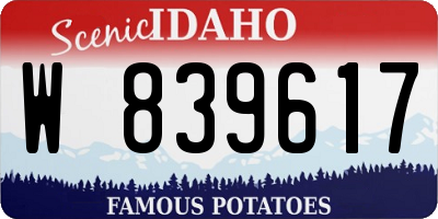 ID license plate W839617