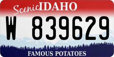 ID license plate W839629