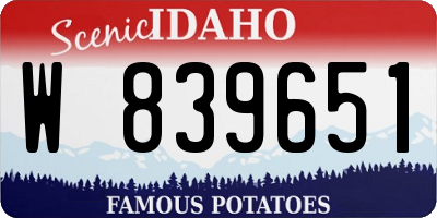 ID license plate W839651