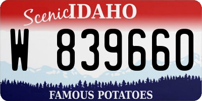 ID license plate W839660