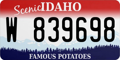 ID license plate W839698