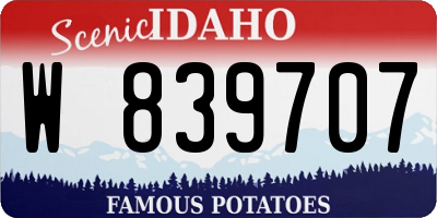 ID license plate W839707