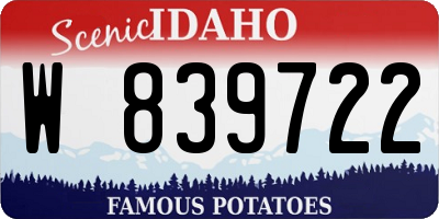 ID license plate W839722