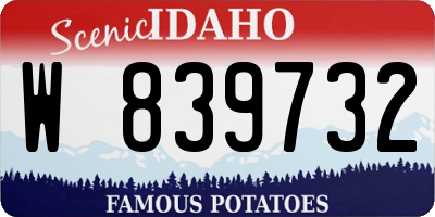 ID license plate W839732