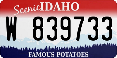 ID license plate W839733