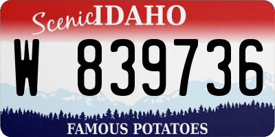 ID license plate W839736