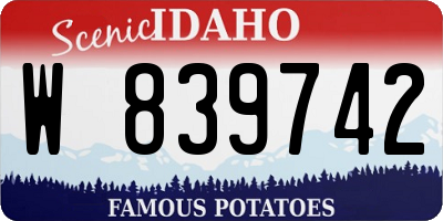 ID license plate W839742