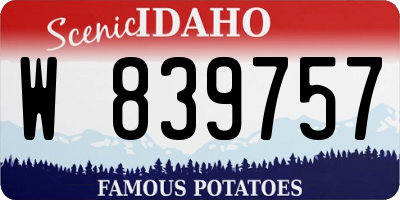 ID license plate W839757