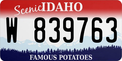 ID license plate W839763