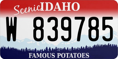 ID license plate W839785
