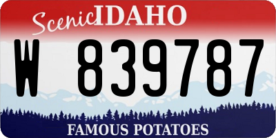 ID license plate W839787