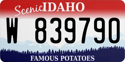 ID license plate W839790