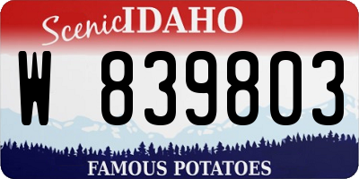 ID license plate W839803