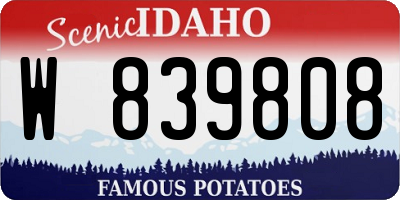 ID license plate W839808
